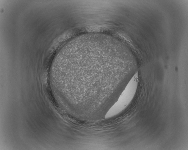 X0000064770687200603131434