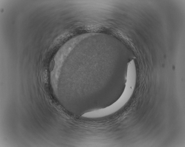 X0000064770689200603131434