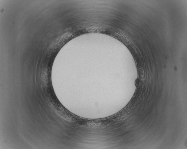 X0000064770690200603131434