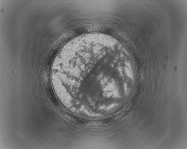 X0000064770691200603131434