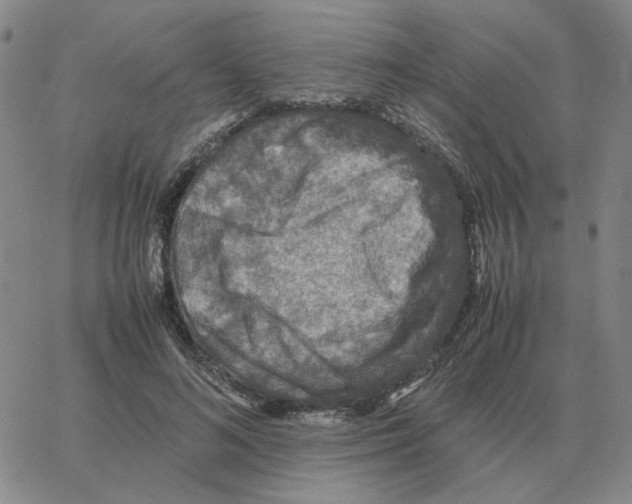 X0000064770692200603131434