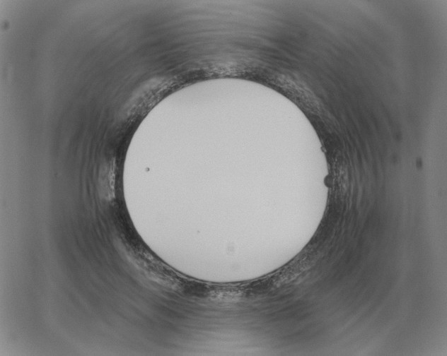 X0000064770694200603131434