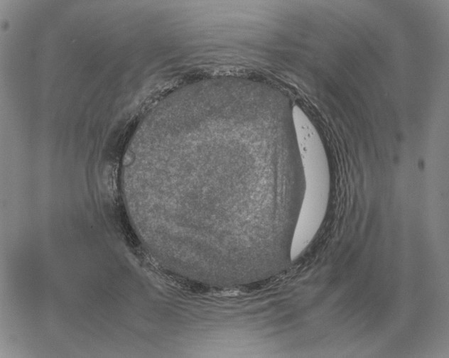 X0000064770695200603131434