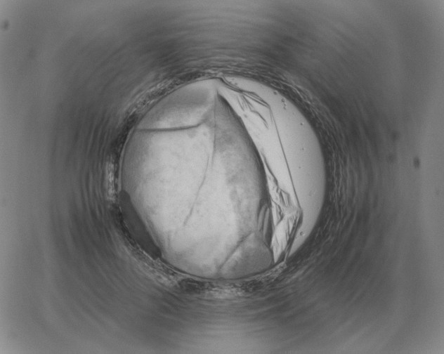 X0000064770696200603131434