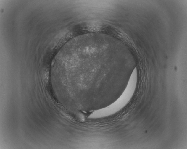 X0000064770697200603131434