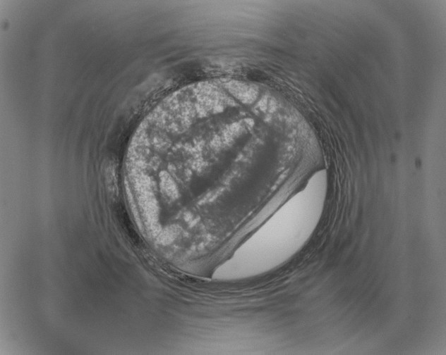 X0000064770699200603131434