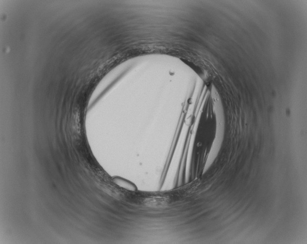 X0000064770700200603131434