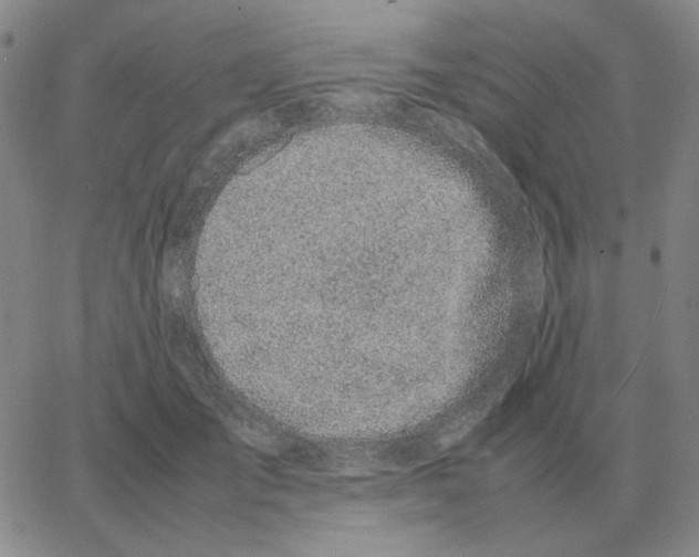 X0000064770701200603131434