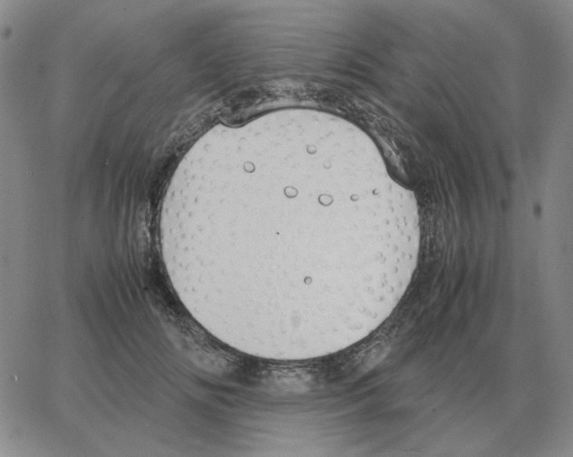 X0000064770702200603131434