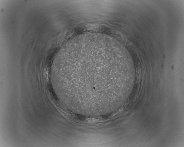 X0000064770703200603131434