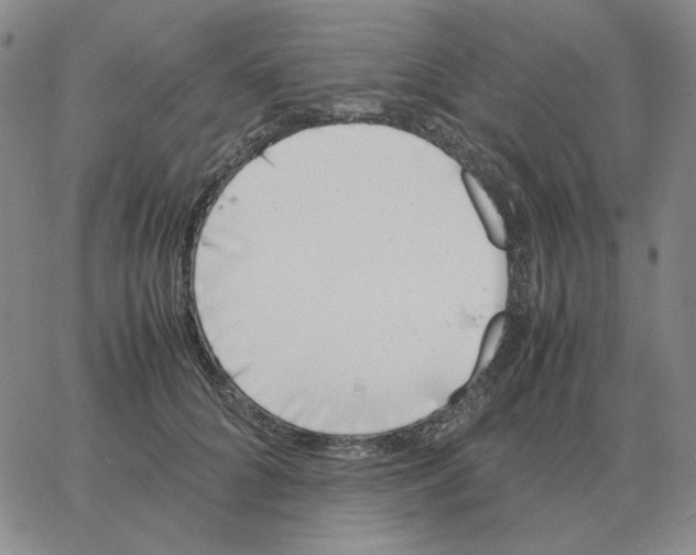 X0000064770704200603131434