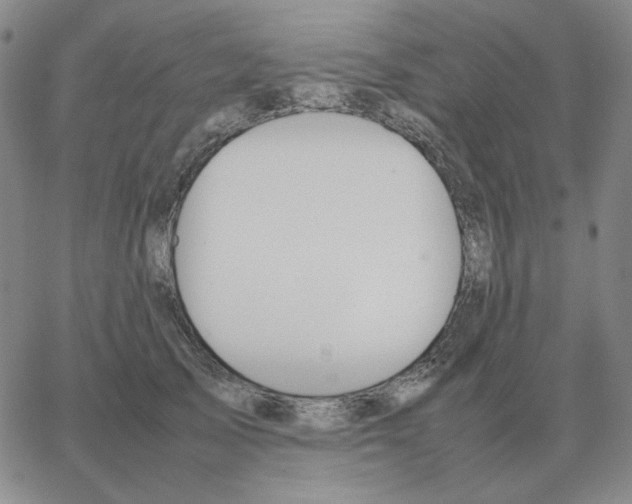 X0000064770705200603131434