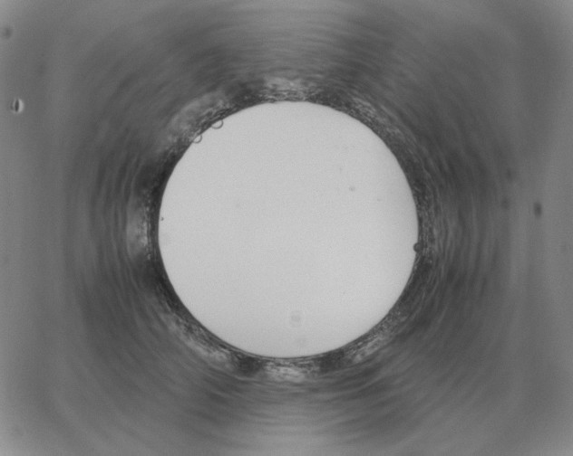 X0000064770706200603131434