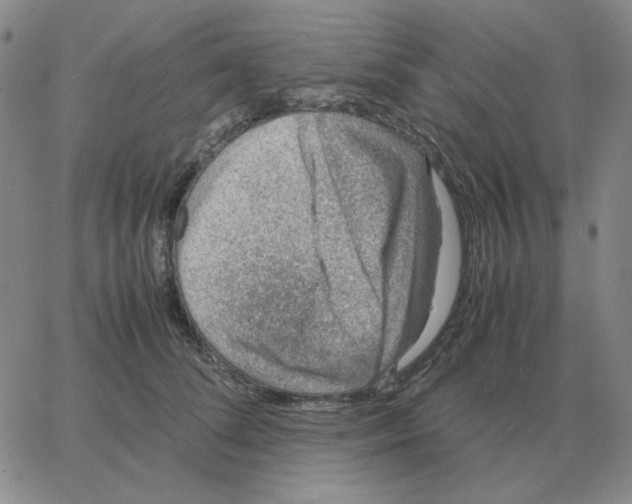 X0000064770708200603131434