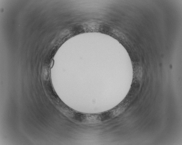 X0000064770709200603131434