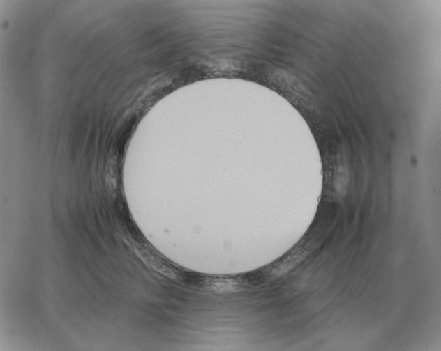 X0000064770710200603131434