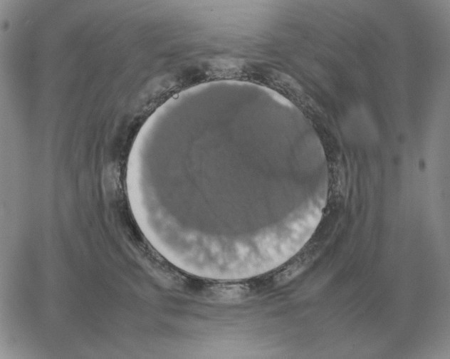 X0000064770711200603131434