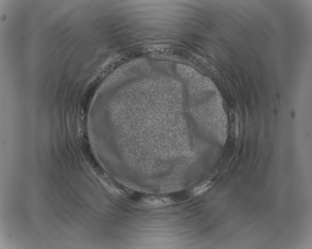 X0000064770712200603131434