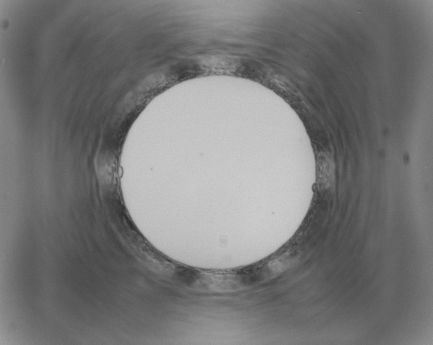 X0000064770713200603131434