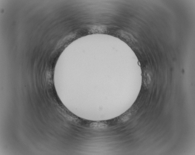 X0000064770714200603131434