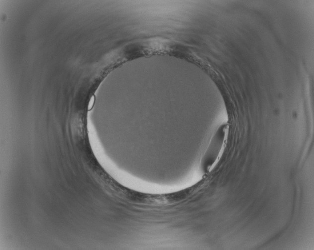 X0000064770715200603131434