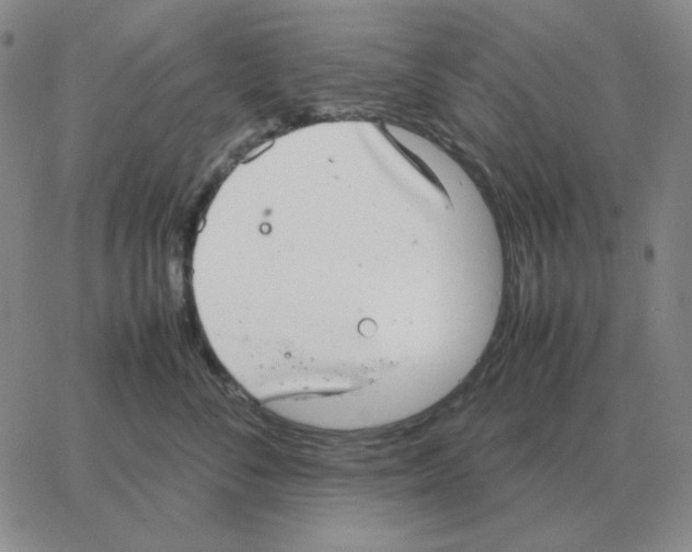 X0000064770716200603131434