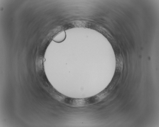 X0000064770717200603131434