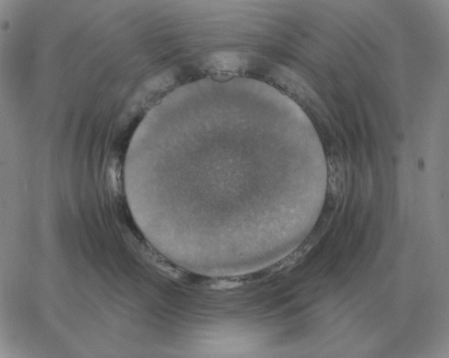 X0000064770718200603131434