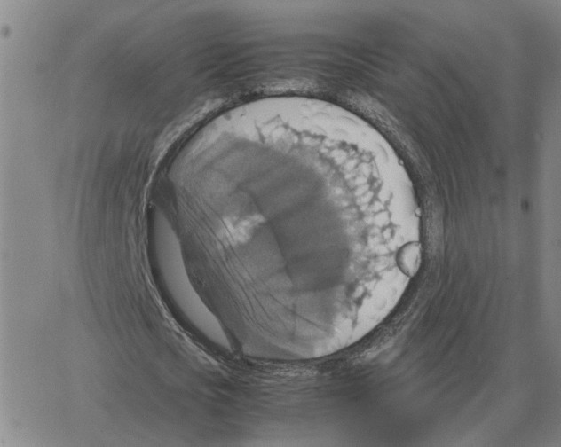 X0000064770721200603131433