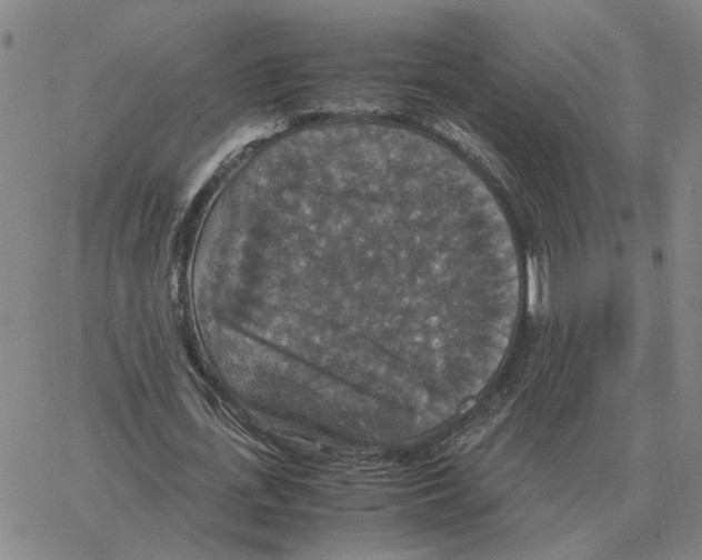 X0000064770723200603131433