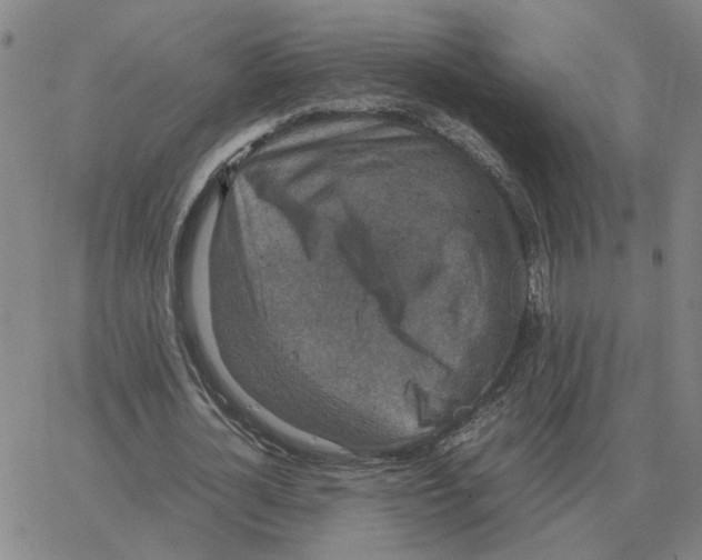 X0000064770724200603131433