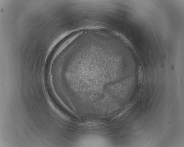 X0000064770726200603131433