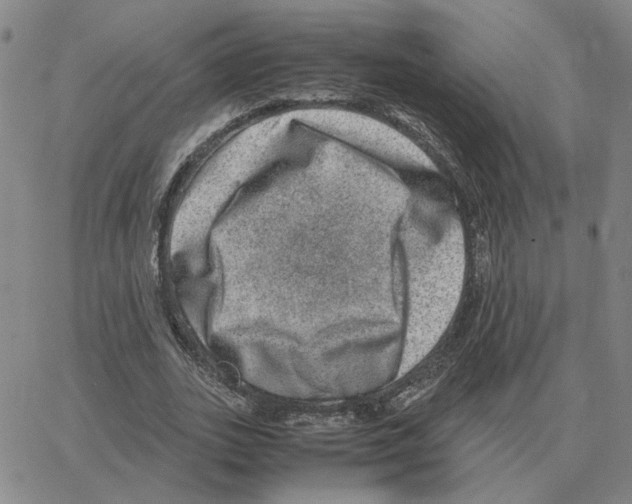 X0000064770727200603131433