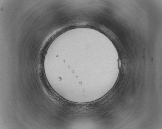 X0000064770728200603131433