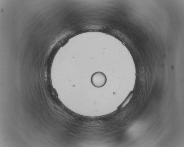 X0000064770731200603131433