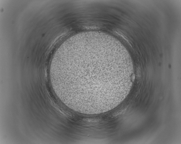 X0000064770733200603131433