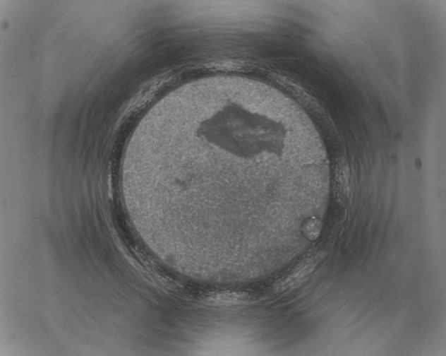 X0000064770734200603131433