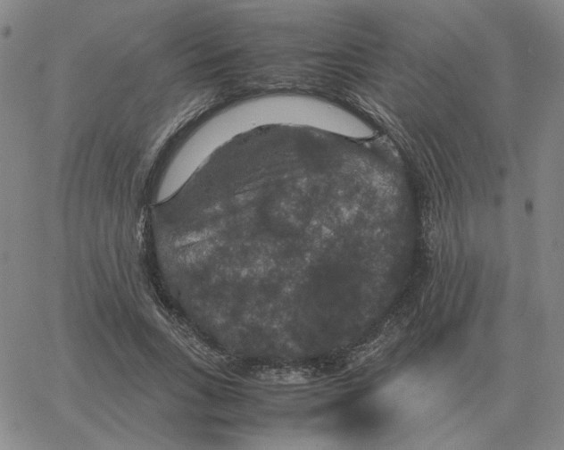 X0000064770735200603131433