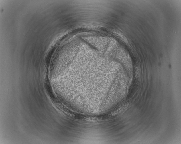 X0000064770736200603131433