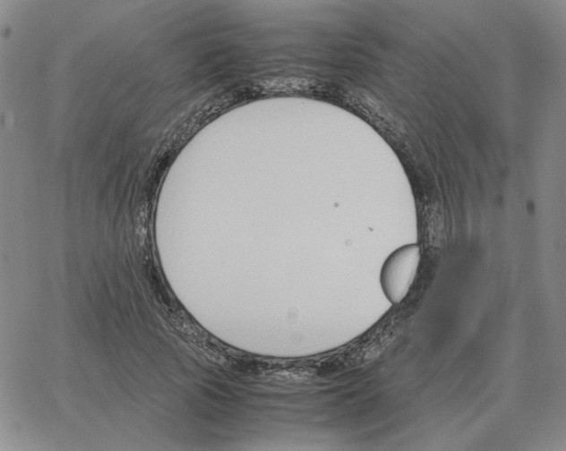 X0000064770737200603131433