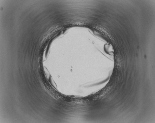 X0000064770738200603131433