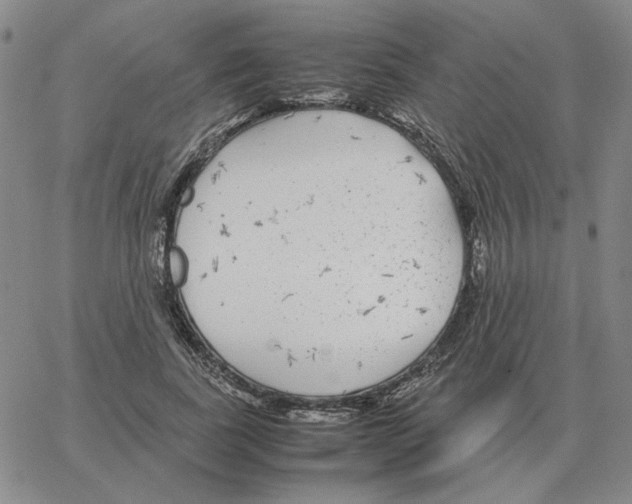 X0000064770739200603131433