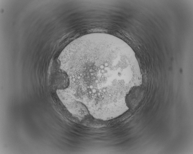 X0000064770741200603131433