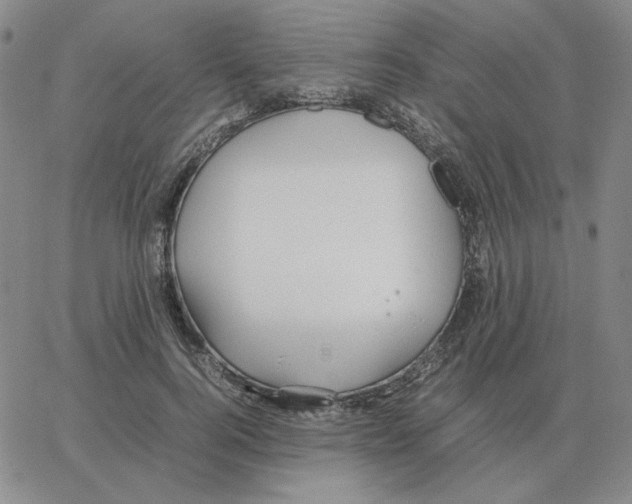 X0000064770744200603131433