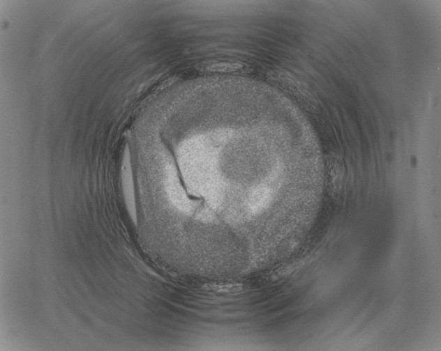 X0000064770745200603131433