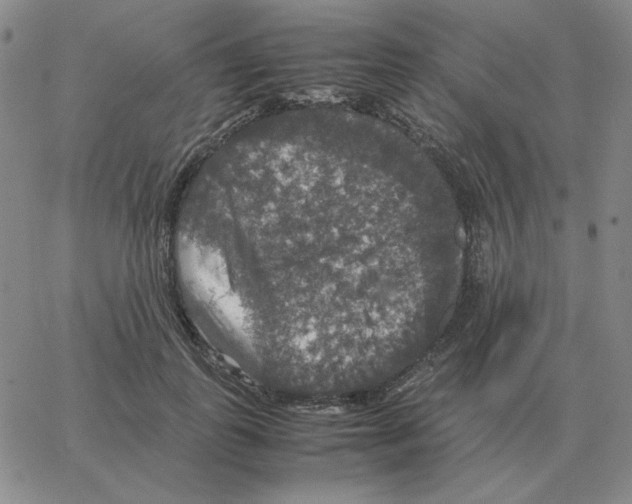 X0000064770747200603131433