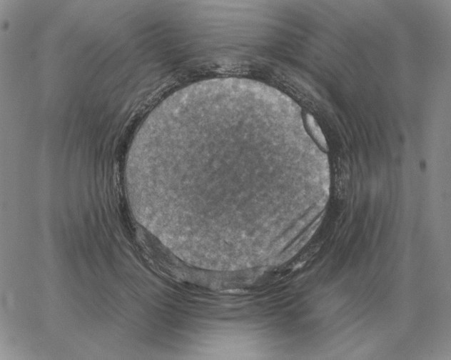 X0000064770748200603131433