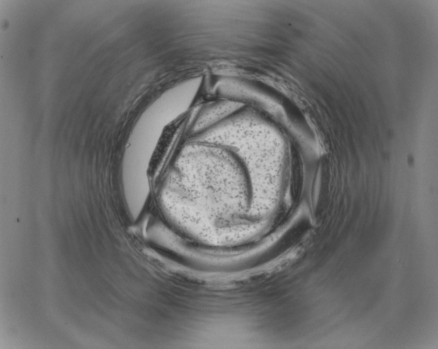 X0000064770750200603131433