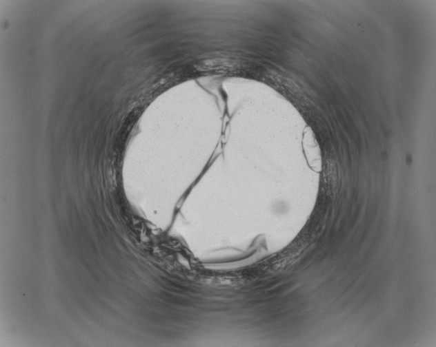 X0000064770751200603131433