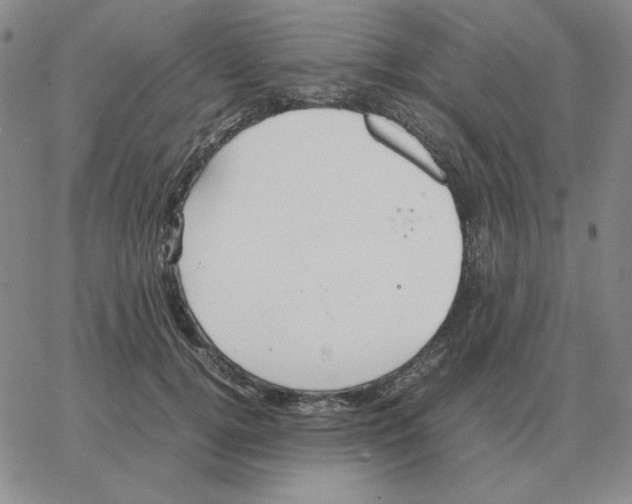 X0000064770752200603131433